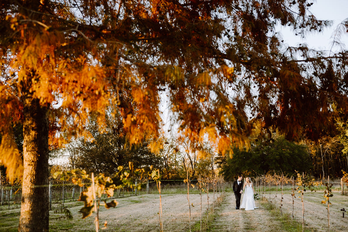 bride and groom walk through the vineyards during golden hour portraits at their fall long hollow gardens wedding