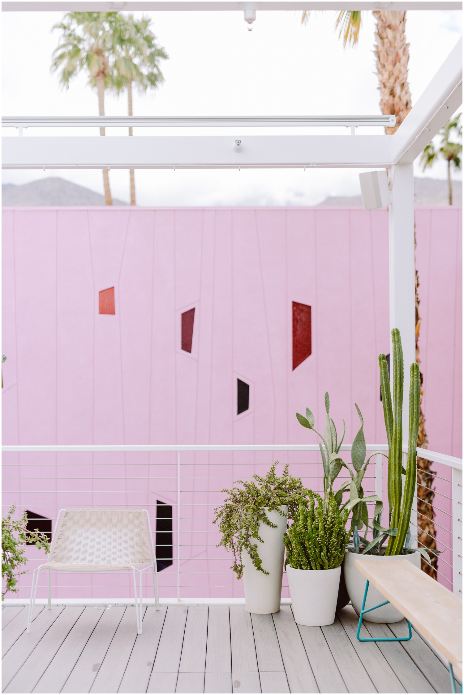 colorful outdoor space with pink wall and cactus at palm springs wedding venue hotel saguaro