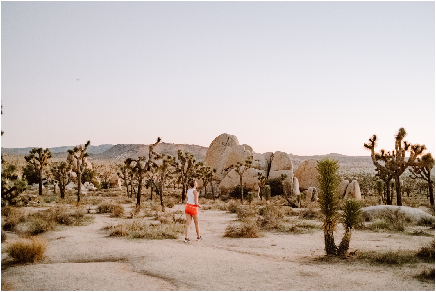 what to do in joshua tree